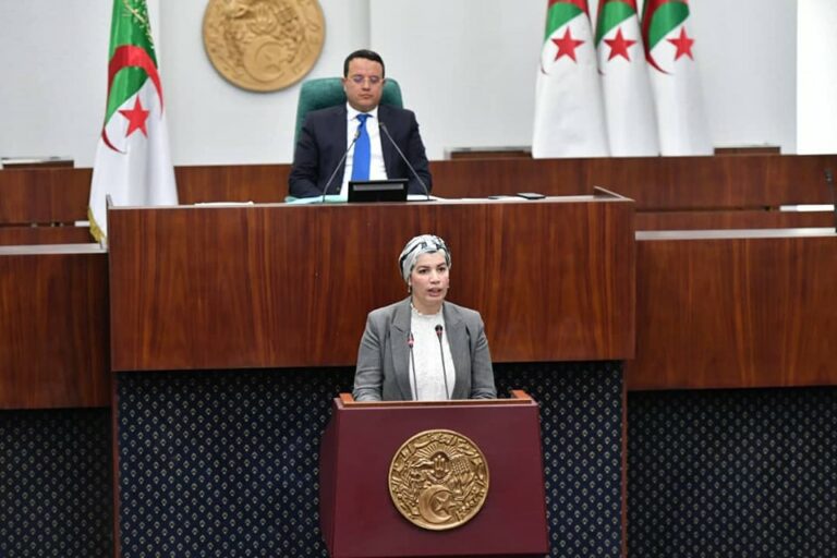 وزيرة الثقافة والفنون ترد على 03 أسئلة شفهية خِلال الجلسة العامة التي عقدها المجلس الشعبي الوطني