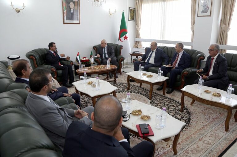 وزير النقل يستقبل رئيس مجلس إدارة مجموعة موانئ دبي العالمية
