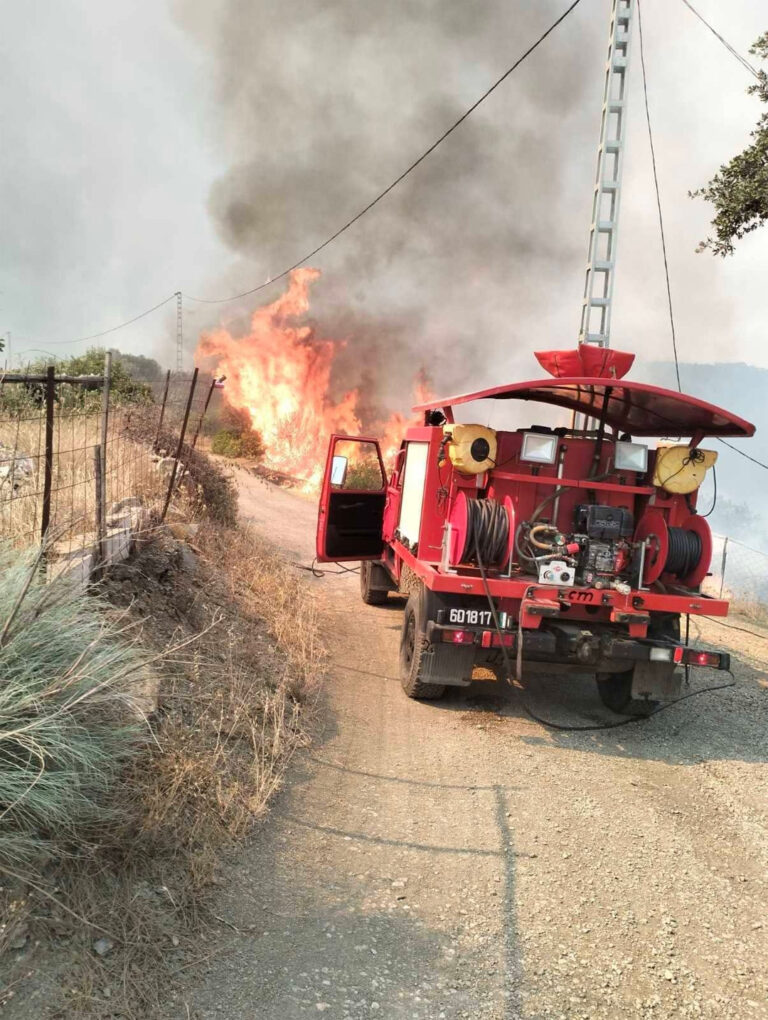 حرائق الغطاء النباتي : الحماية المدنية تواصل اخماد الحرائق