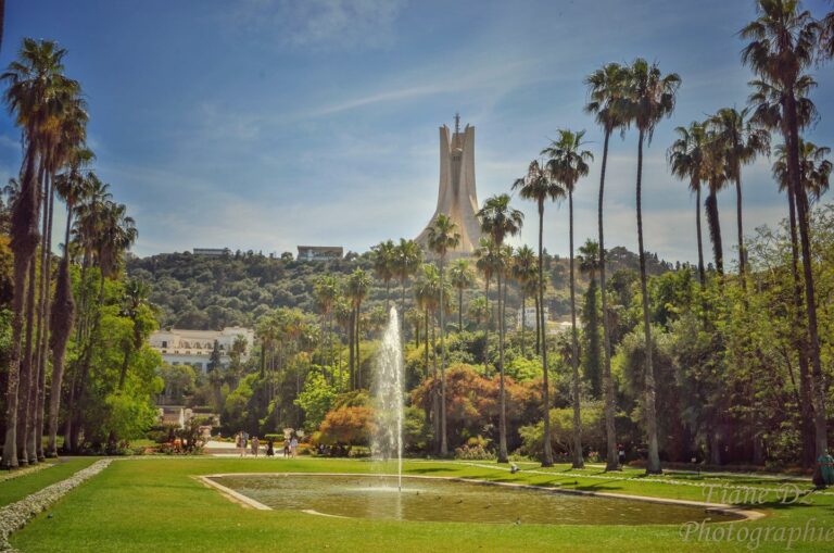 حديقة التجارب بالحامة : أكثر من مليون و600 ألف زائر منذ بداية السنة الجارية