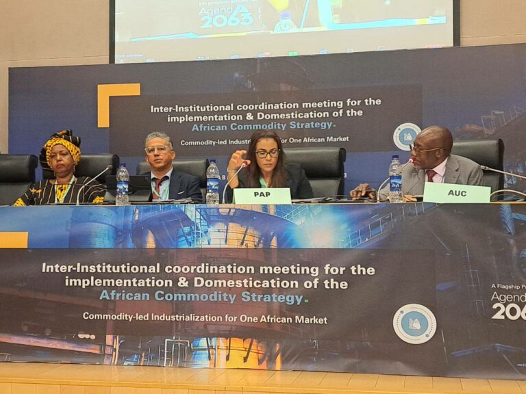 النائب العمالي تشدد من أديس أبابا على ضرورة تعزيز الصناعة التحويلية خاصة في القطاعات الاقتصادية الأساسية