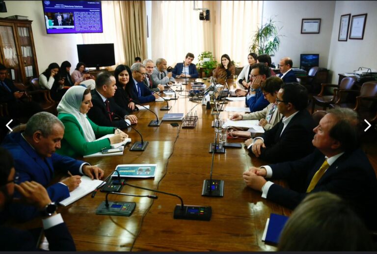 وفد المجموعة البرلمانية للصداقة الجزائرية الشيلية يلتقي رئيس لجنة الشؤون الخارجية والتعاون الدولي بغرفة النواب الشيلية