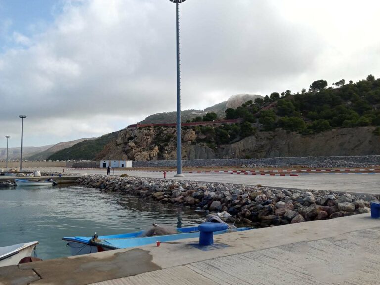 تلمسان : الانطلاق في انجاز مسمكة ومهاجع الصيادين بميناء “سيدي يوشع” منتصف نوفمبر المقبل