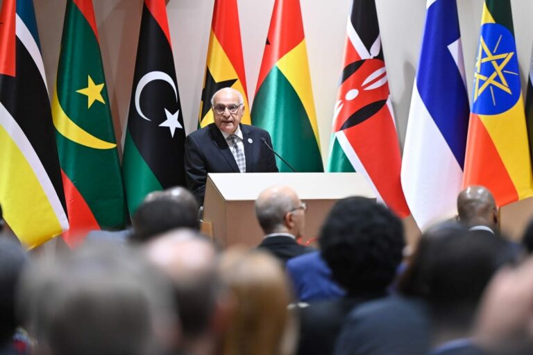 الكلمة الافتتاحية للسيد أحمد عطاف في الدورة الـ 20 لاجتماع وزراء خارجية إفريقيا-دول شمال أوروبا