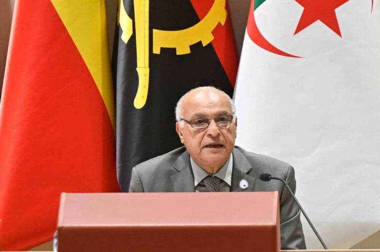 كلمة السيد أحمد عطاف في اختتام الدورة الـ 20 لاجتماع وزراء خارجية إفريقيا-دول شمال أوروبا