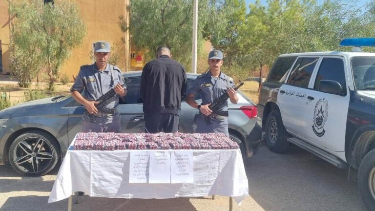 جمارك الأغواط : توقيف شخص وحجز 12208 كبسولة من المؤثرات العقلية