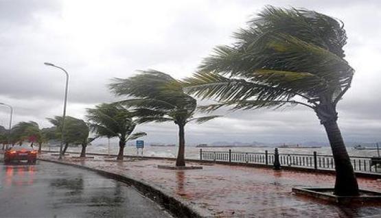 نشرية خاصة : رياح قوية في العديد من ولايات غرب البلاد