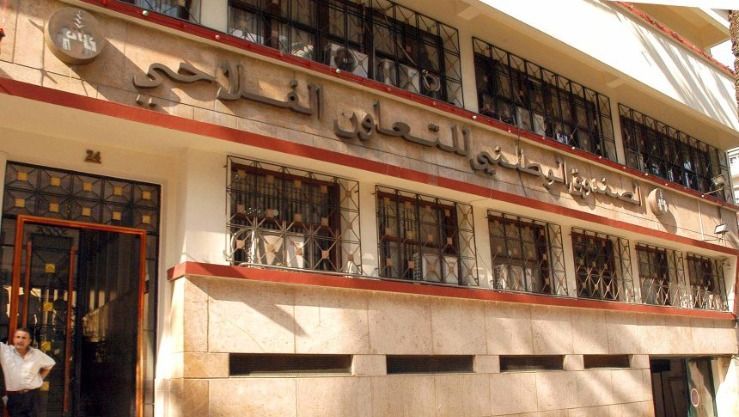 الصندوق الوطني للتعاون الفلاحي يطلق منتجا تأمينيا جديدا