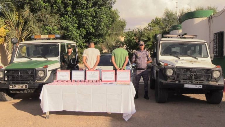 جمارك سطيف : إحباط محاولة تهريب 2860 كبسولة مهلوسة من نوع بريغابالين 300 ملغ