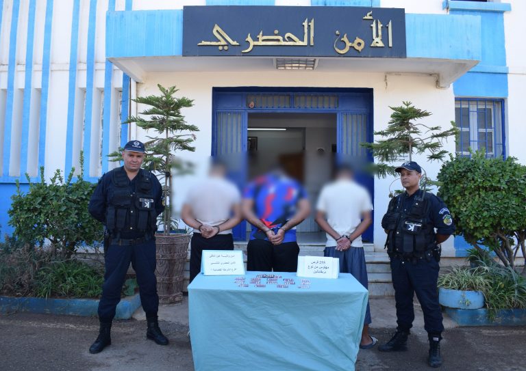 شرطة عين الدفلى تطيح بمروجي المؤثرات العقلية وتضبط 255 قرص بريغابلين