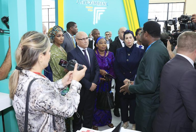 وزيرة الثقافة تُشرف على افتتاح المعارض الفنية والإبداعية الخاصة بتظاهرة “الأيام الإبداعية الأفريقية 2024”