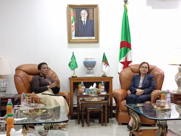 وزيرة التضامن الوطني والأسرة وقضايا المرأة تستقبل مديرة المرأة والجندر والشباب بالاتحاد الإفريقي
