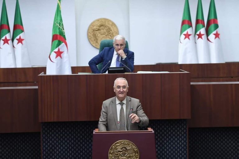 وزير المالية يرد على انشغالات وتساؤلات النواب بخصوص مشروع قانون المالية 2025