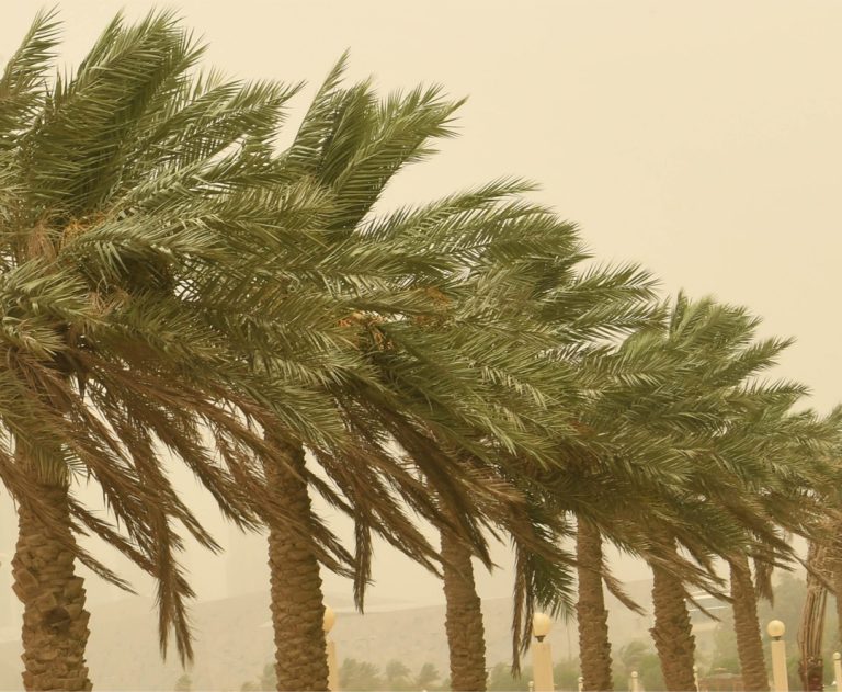 تحذير لمستعملي الطريق الوطني رقم 45 بسبب الزوابع الرملية بين الشلال والمعاريف