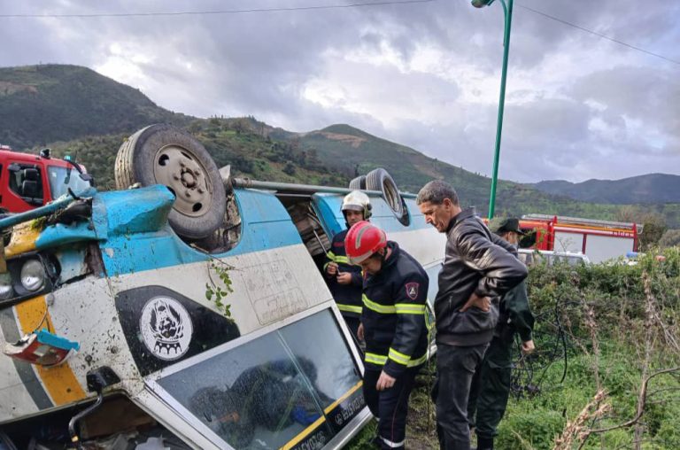 إصابة 10 أشخاص في حادث مرور بولاية سكيكدة
