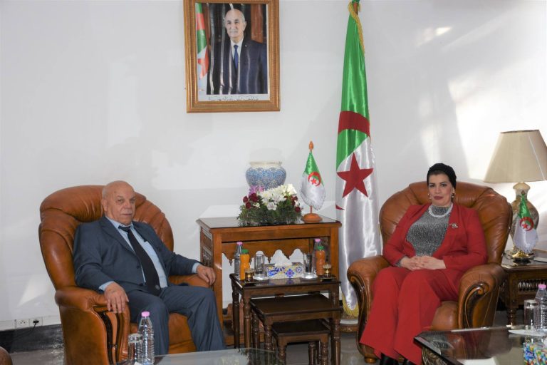 وزيرة التضامن تستقبل الأمين العام للنقابة الوطنية لمستخدمي الإدارة العمومية