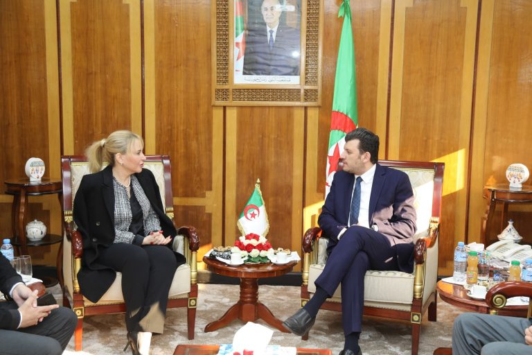 وزير التكوين والتعليم المهنيين يستقبل رئيسة الهلال الأحمر الجزائري