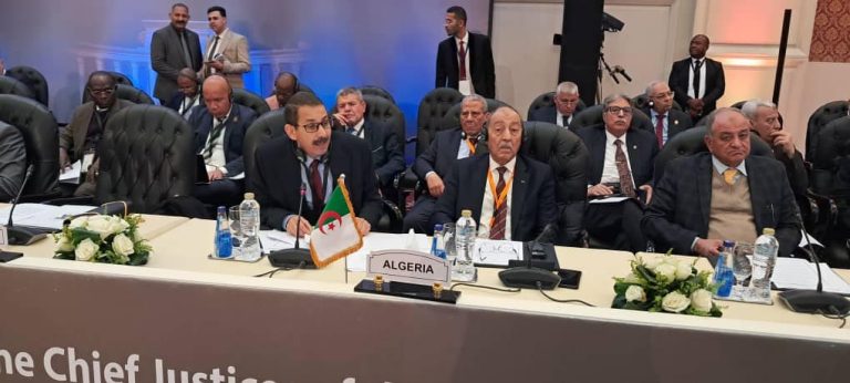 مواصلة أشغال إجتماع القاهرة الثامن رفيع المستوى لرؤساء المحاكم الدستورية والمحاكم العليا والمجالس الدستورية الإفريقية