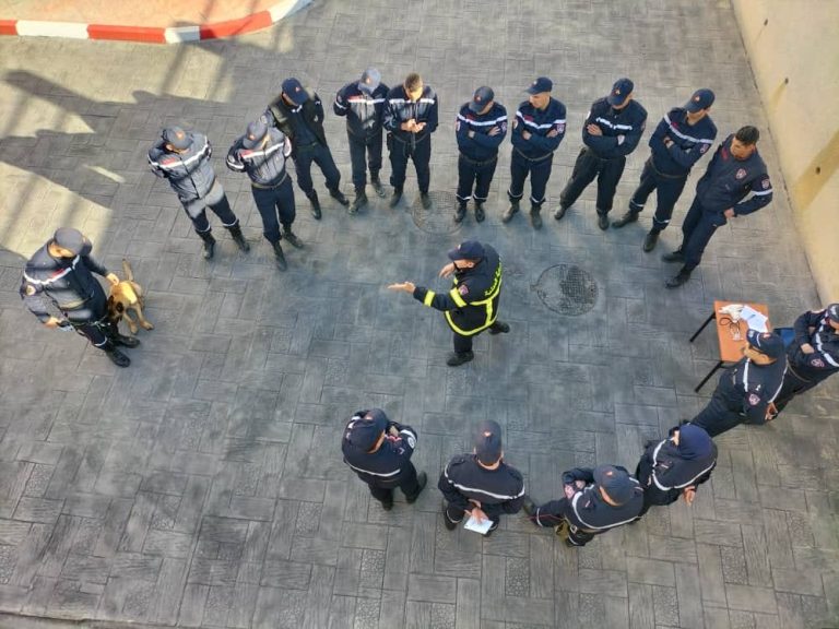 الحماية المدنية : تكوين لرفع كفاءة فرق الإنقاذ للتعامل مع مختلف الحوادث والكوارث