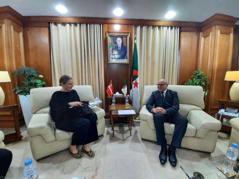 كاتب الدولة لدى وزير الطاقة المكلف بالطاقات المتجددة يستقبل سفيرة مملكة الدنمارك لدى الجزائر