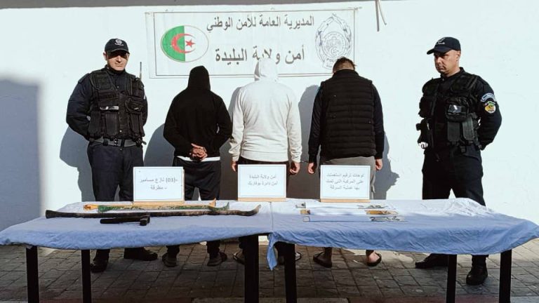 شرطة البليدة في عمليتين منفصلتين توقف جمعية أشرار مختصة في سرقة الكوابل