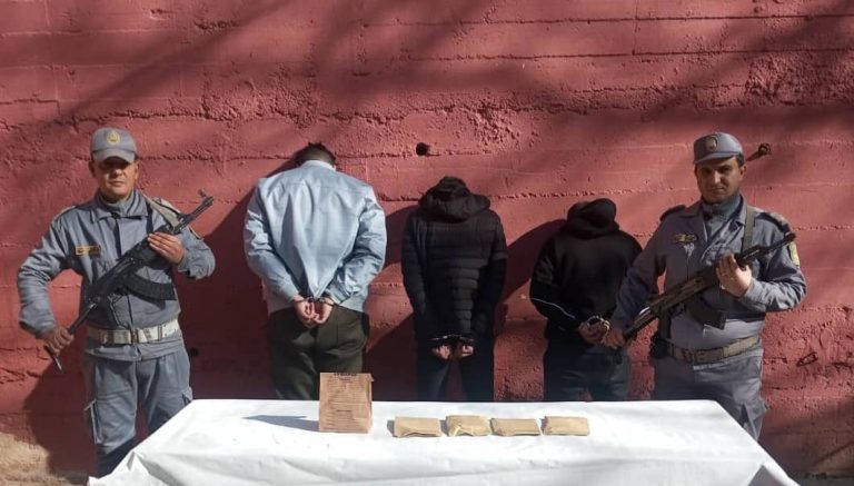 جمارك تيارت : توقيف ثلاثة أشخاص وحجز 1252 قرص إكستازي