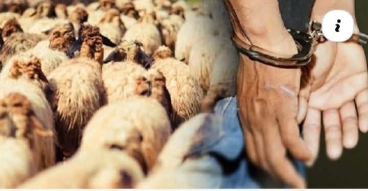 شرطة عين الدفلى توقف شخصين حاولا سرقة مواشي