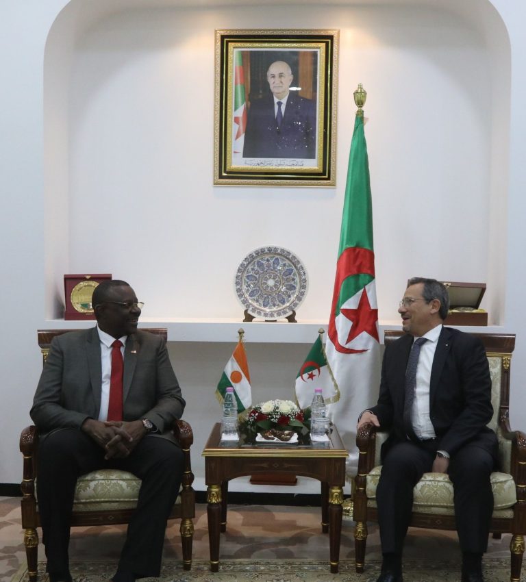 وزير الأشغال العمومية والمنشآت القاعدية يستقبل وزير الري والصرف الصحي والبيئة لجمهورية النيجر