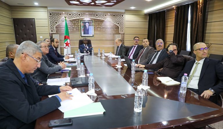 وزير الشباب يُعلن تأسيس لجنة وطنية للإصلاح البيداغوجي للقطاع