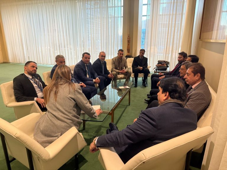 نائب رئيس المجلس الشعبي الوطني منذر بودن يجري محدثات مع نظيره الباكستاني