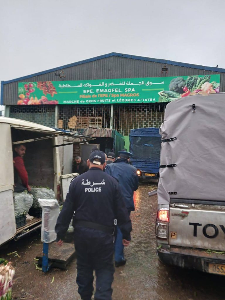 شرطة تيبازة تحجز أكثر من 26 قنطار من مادة الموز