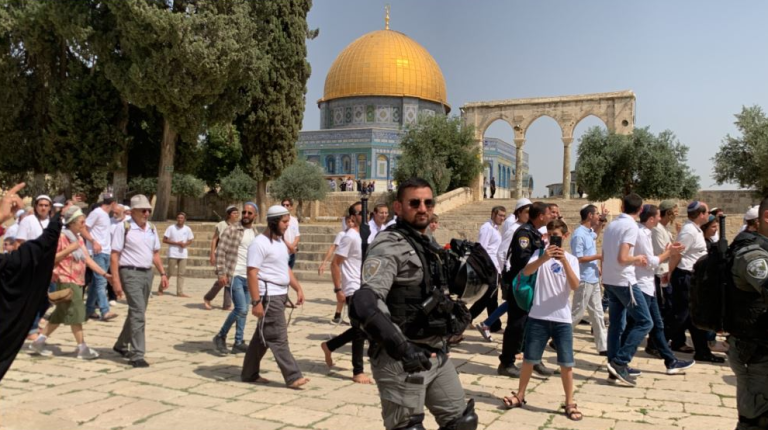 فلسطين : مستوطنون صهاينة يقتحمون الأقصى بحماية من قوات الاحتلال