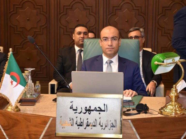 سفيان شايب يترأس الوفد الجزائري المشارك في الدورة العادية الـ 163 لمجلس الجامعة على مستوى وزراء الخارجية العرب