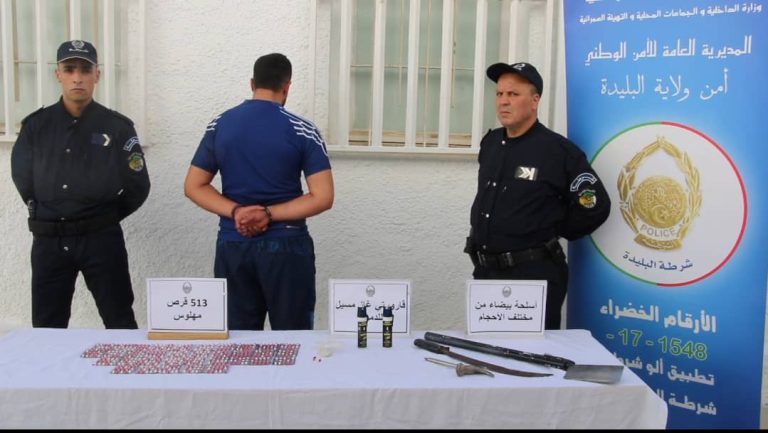شرطة البليدة تشن حملات ضد مروجي الأقراص المهلوسة وعصابات الأحياء