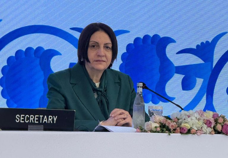 اختيار النائب فريدة إليمي عضوا في لجنة الصحة بالاتحاد البرلماني الدولي خلال الجمعية العامة الـ 150