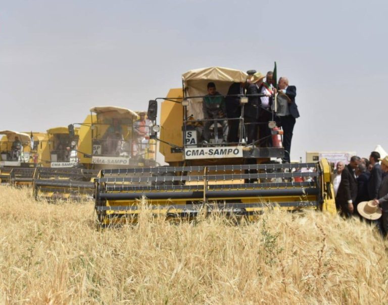 الرئيس تبون: الجزائر قادرة على تحقيق الاكتفاء الذاتي في القمح والمنتجات الفلاحية
