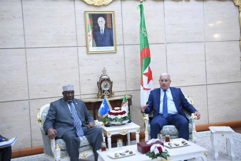 رئيس المجلس الشعبي الوطني يستقبل نظيره الصومالي