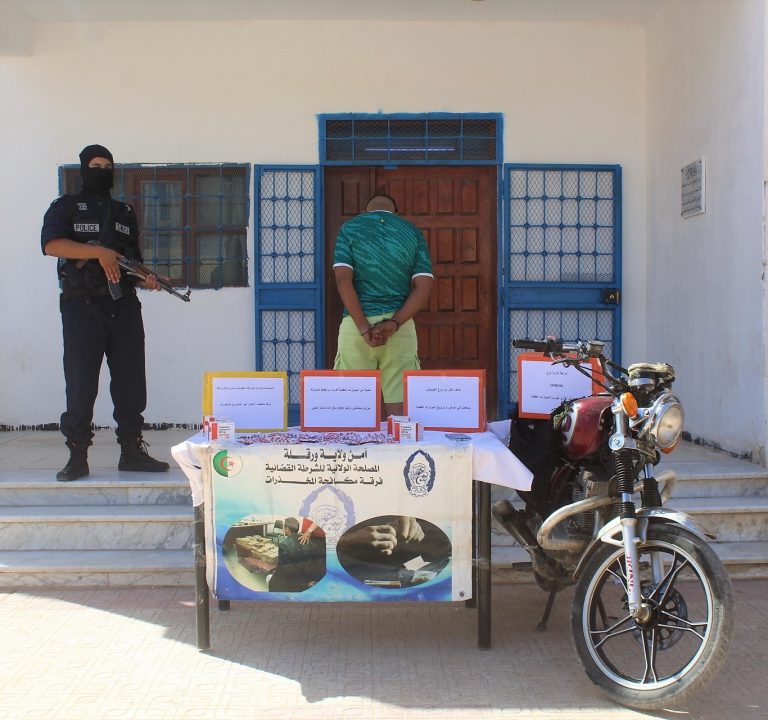 شرطة ورقلة تطيح بمروج مخدرات وتحجز 540 كبسولة بريغابلين