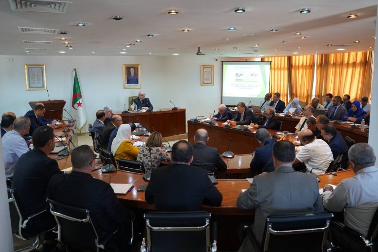 وزير الصناعة يطلق لقاءات مع المجمعات العمومية ويشدد على عصرنة التسيير ورفع القدرات الإنتاجية