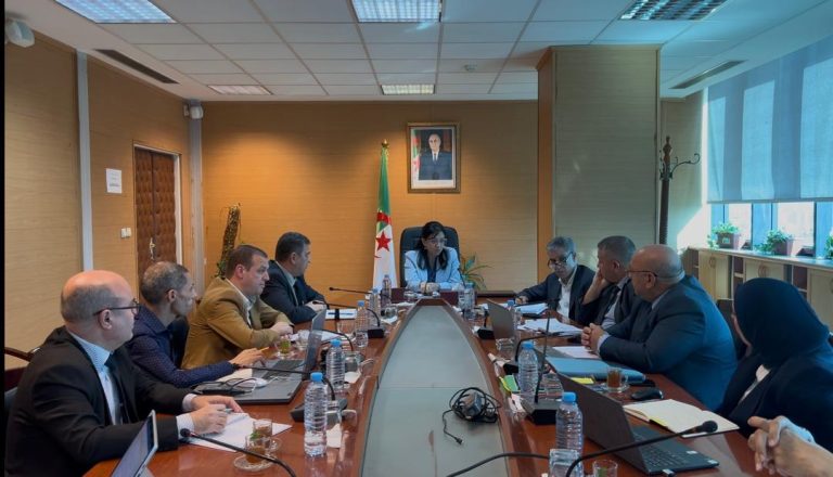 وزيرة التجارة: التجارة الإلكترونية رافعة لتنويع الاقتصاد الوطني