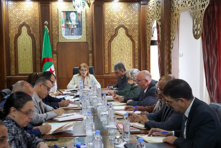 وزيرة السياحة تأمر بتسريع وتيرة الرقمنة وإعطاء الأولوية للأنظمة الإحصائية