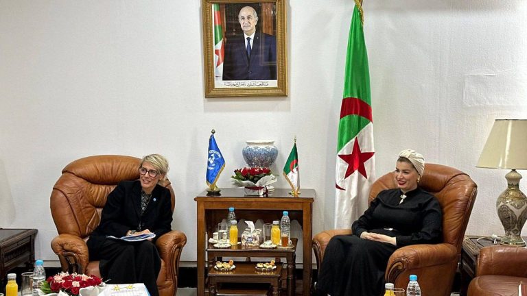 تعاون دولي لتعزيز حقوق الطفل في الجزائر: لقاء وزيرة التضامن مع ممثلة اليونيسيف