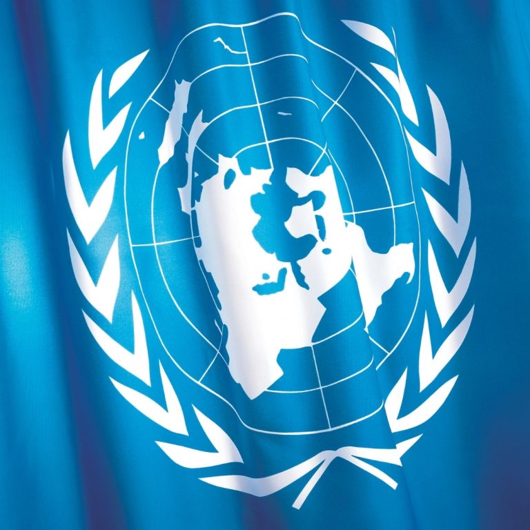 الأمم المتحدة تؤكد أن القضية الصحراوية تدخل ضمن بند منح الاستقلال للشعوب والدول المستعمَرة