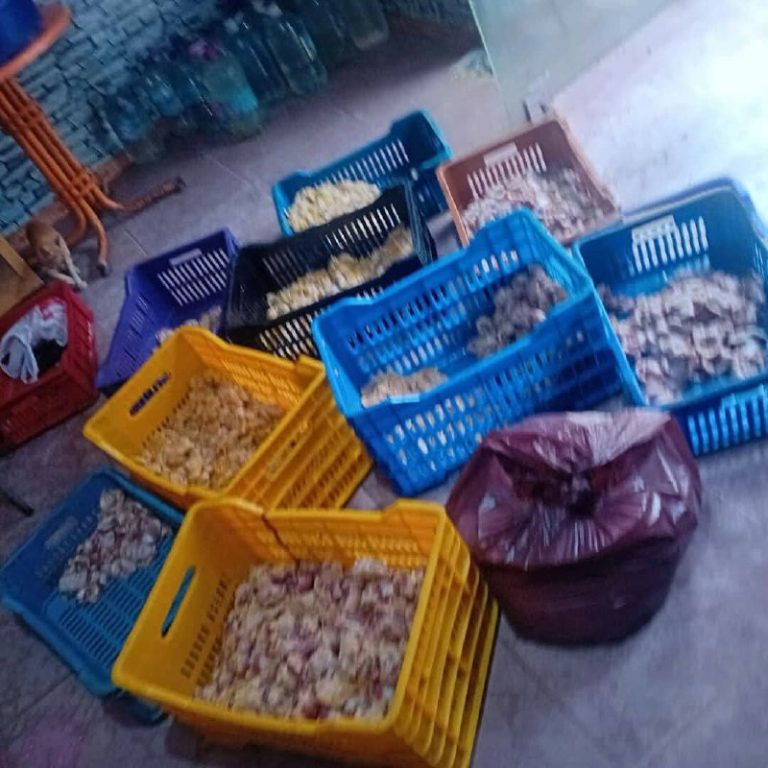 سكيكدة: حجز مواد غذائية وأحشاء دجاج فاسدة غير صالحة للاستهلاك