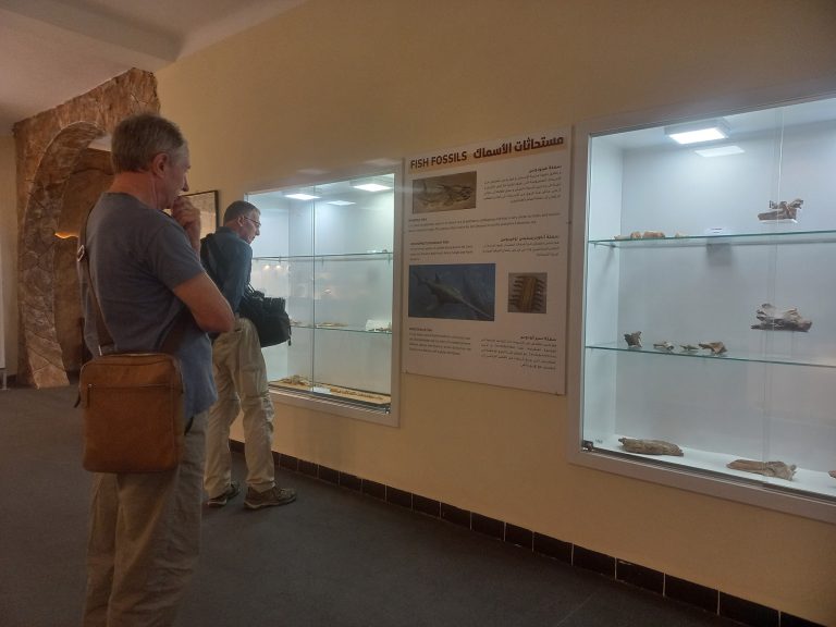 المتحف العمومي الوطني بالمنيعة : ذاكرة نابضة توثّق تاريخ الإنسان في قلب الصحراء الجزائرية