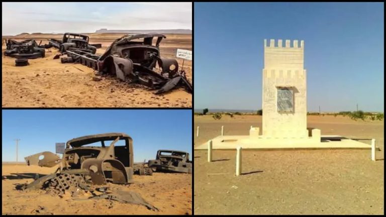 ندوة تاريخية بالجزائر تخليداً لمعركة إيسين: محطة خالدة في مسار الأخوة الجزائرية-الليبية