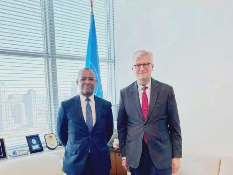 ممثل جبهة البوليساريو بالأمم المتحدة يبحث مع نائب الأمين العام لعمليات السلام تطورات الوضع في الصحراء الغربية