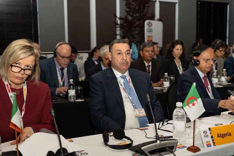 وزير الداخلية يشارك في الاجتماع الوزاري لمجموعة عمل الحد من مخاطر الكوارث لمجموعة العشرين بجنوب إفريقيا