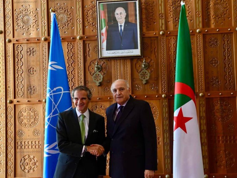 الجزائر والوكالة الدولية للطاقة الذرية تبحثان سبل تعزيز التعاون في الاستخدامات السلمية للطاقة النووية
