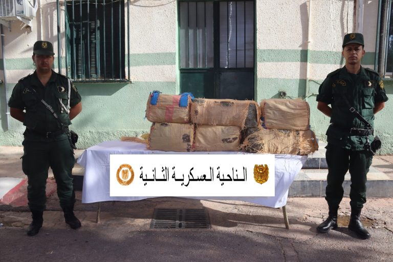 الجيش الوطني الشعبي : تفكيك خلية إرهابية وتوقيف عشرات المتورطين في الجريمة المنظمة